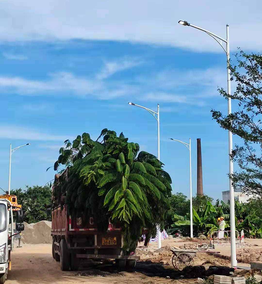 九游在线注册,九游（中国）助力东莞洪梅万科星城道路亮化工程